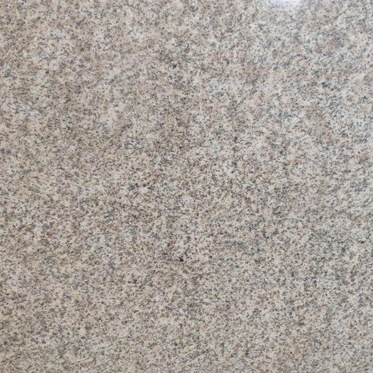 亞洲金麻光面圖