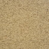 黃金麻小花中黃